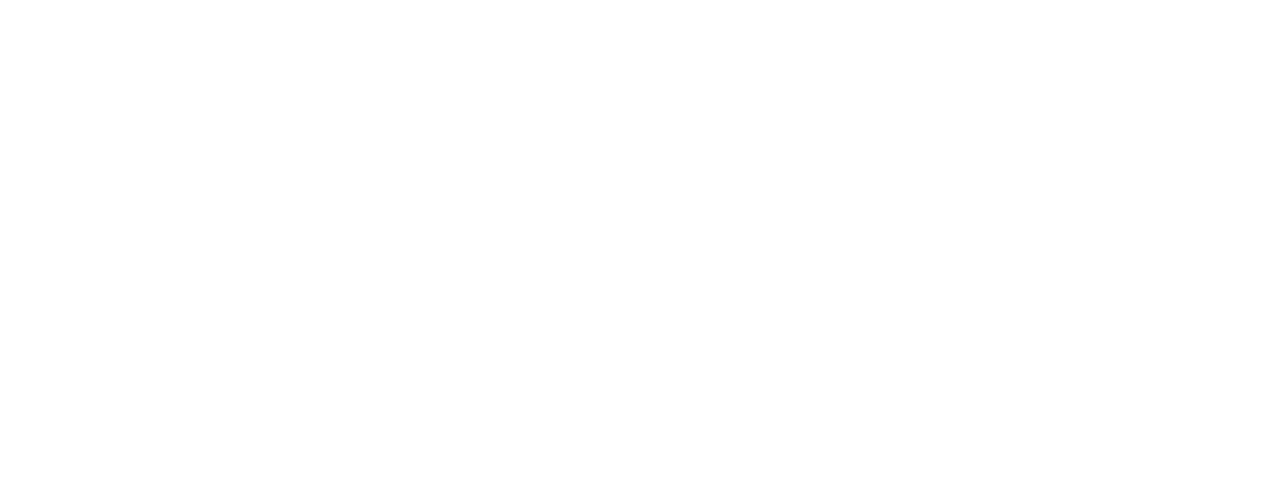 eye for detail logo white